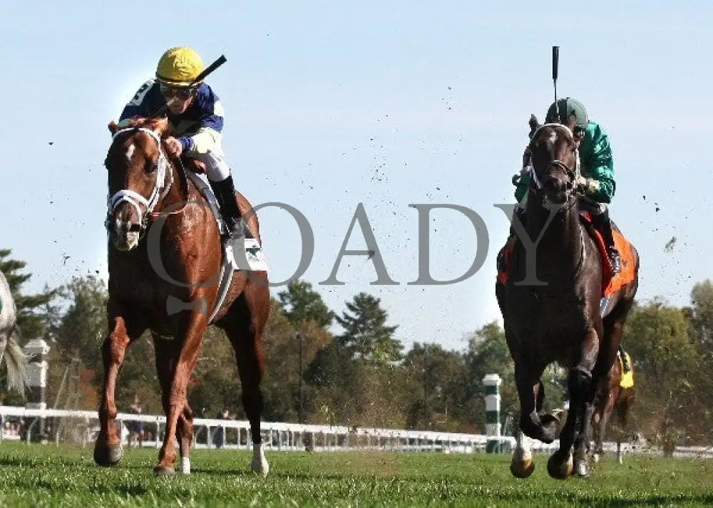 Bridgetown - 100612 Race 05 Under Rail Keeneland