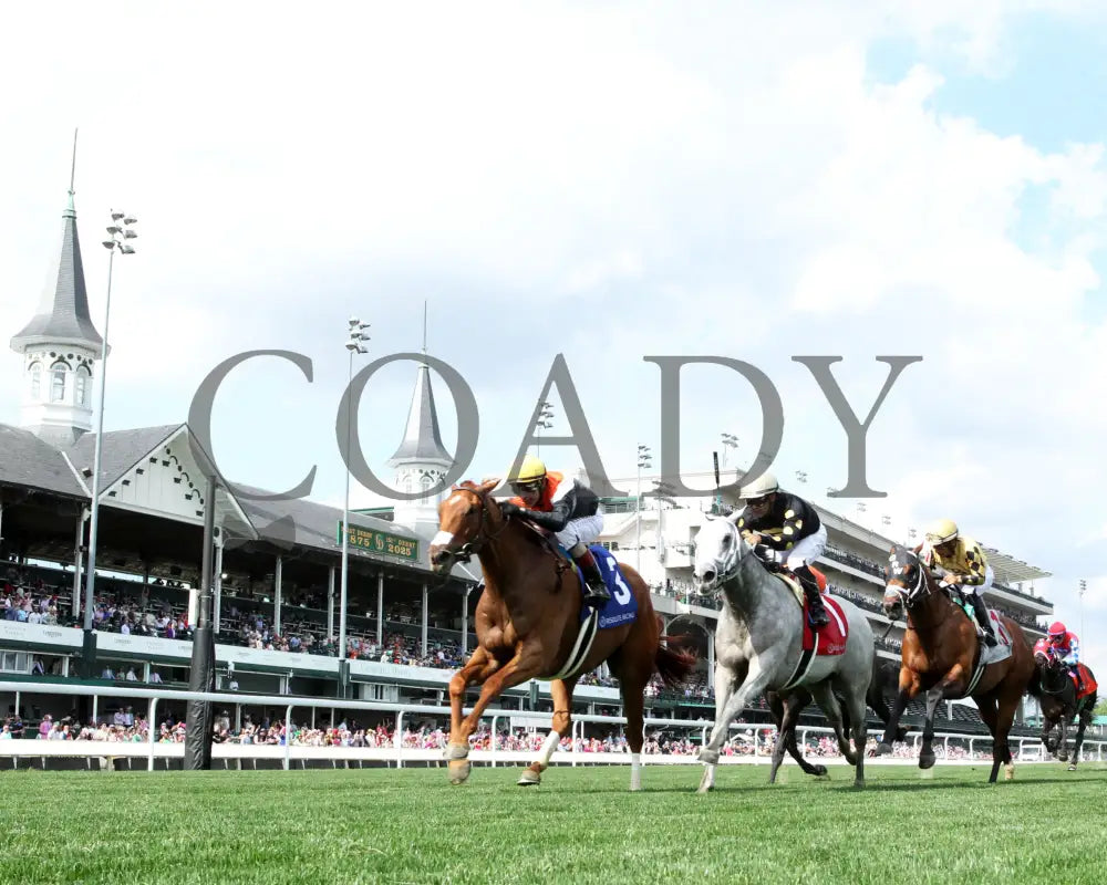 BRIDLE A BUTTERFLY - The William Walker - 04-30-25 - R09 - CD - Under Rail 01 - Coady Media - Kurtis Coady Photography