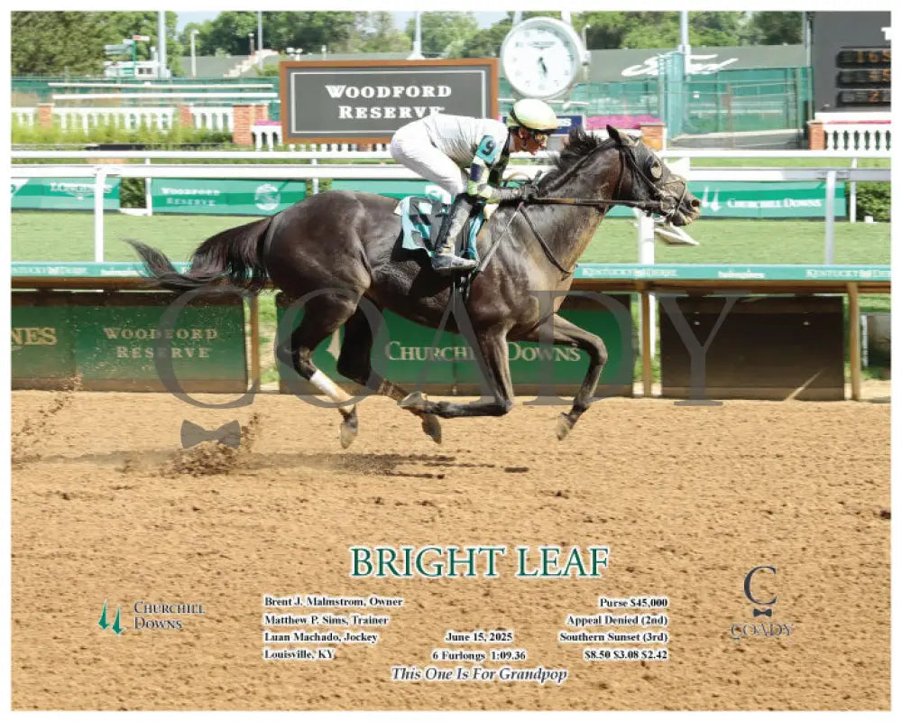 BRIGHT LEAF - 06-15-25 - R10 - CD - Action Churchill Downs