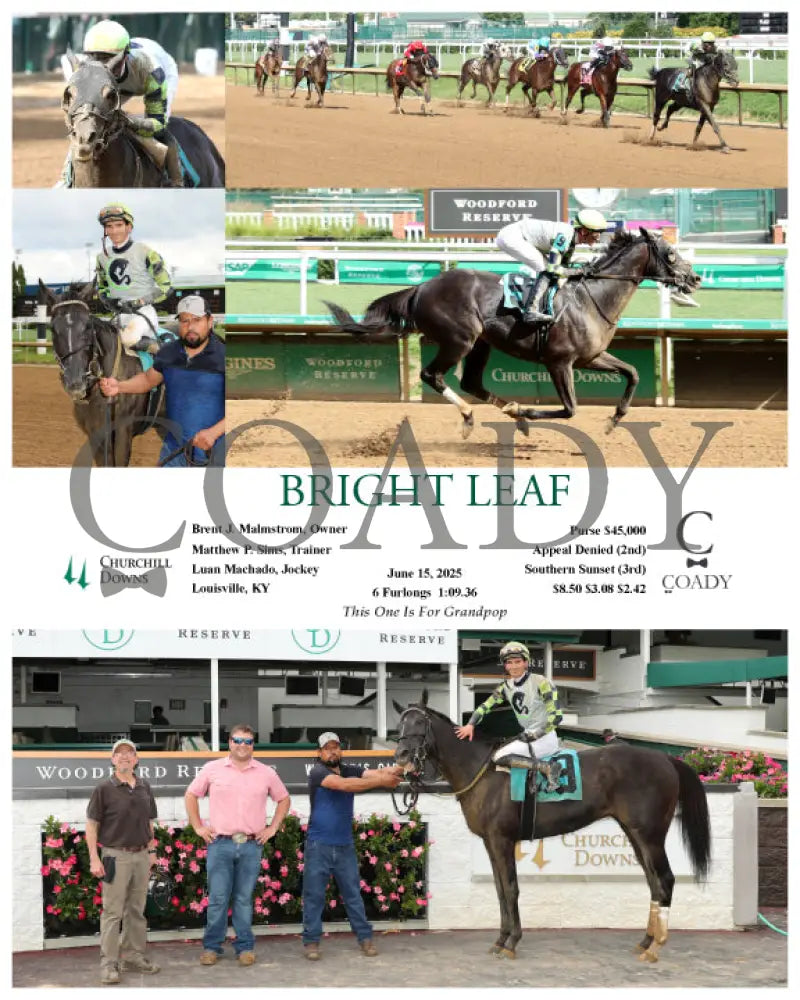 BRIGHT LEAF - 06-15-25 - R10 - CD Churchill Downs