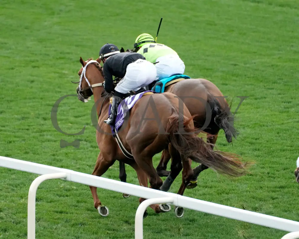 BRILLIANT BERTI - 050125 - Race 10 - CD - Inside Finish 03 Churchill Downs