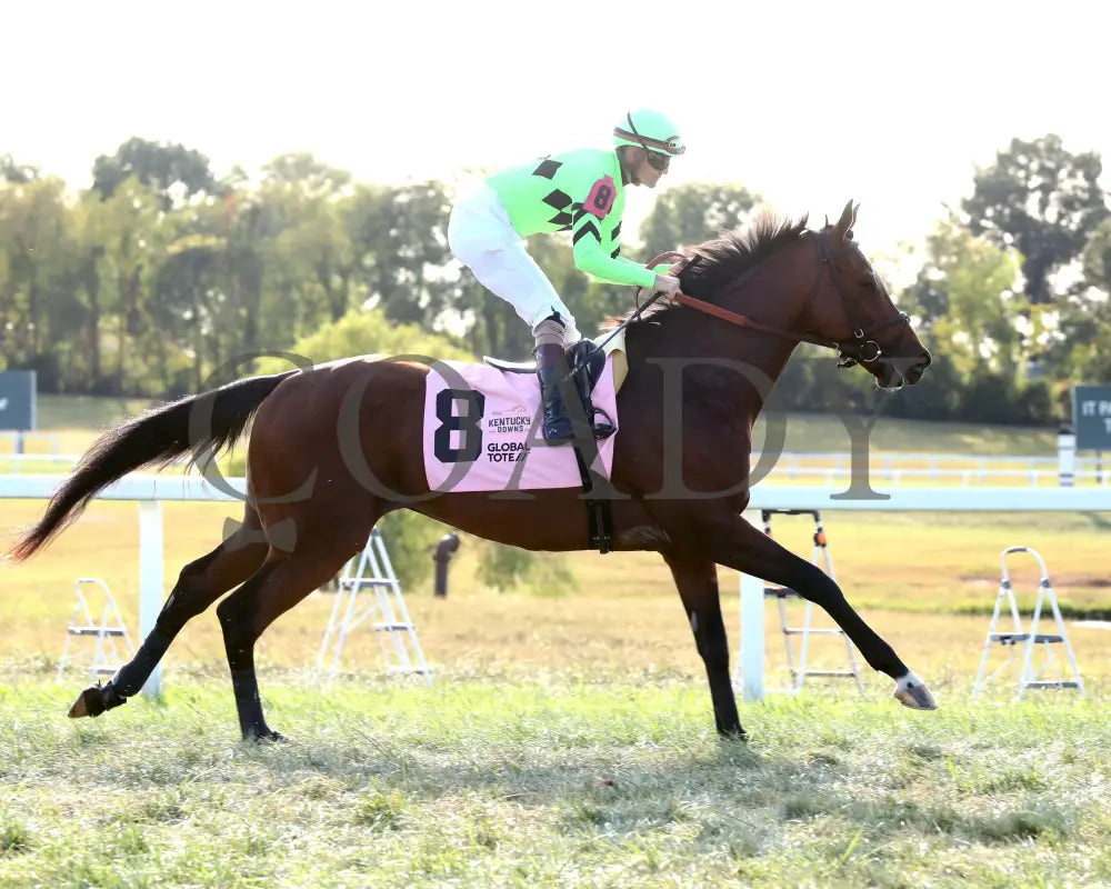 Brilliant Berti - Global Tote Gun Runner 090824 Race 10 Kd Post Parade 01 Kentucky Downs