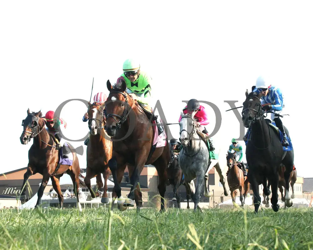 Brilliant Berti - Global Tote Gun Runner 090824 Race 10 Kd Under Rail 01 Kentucky Downs