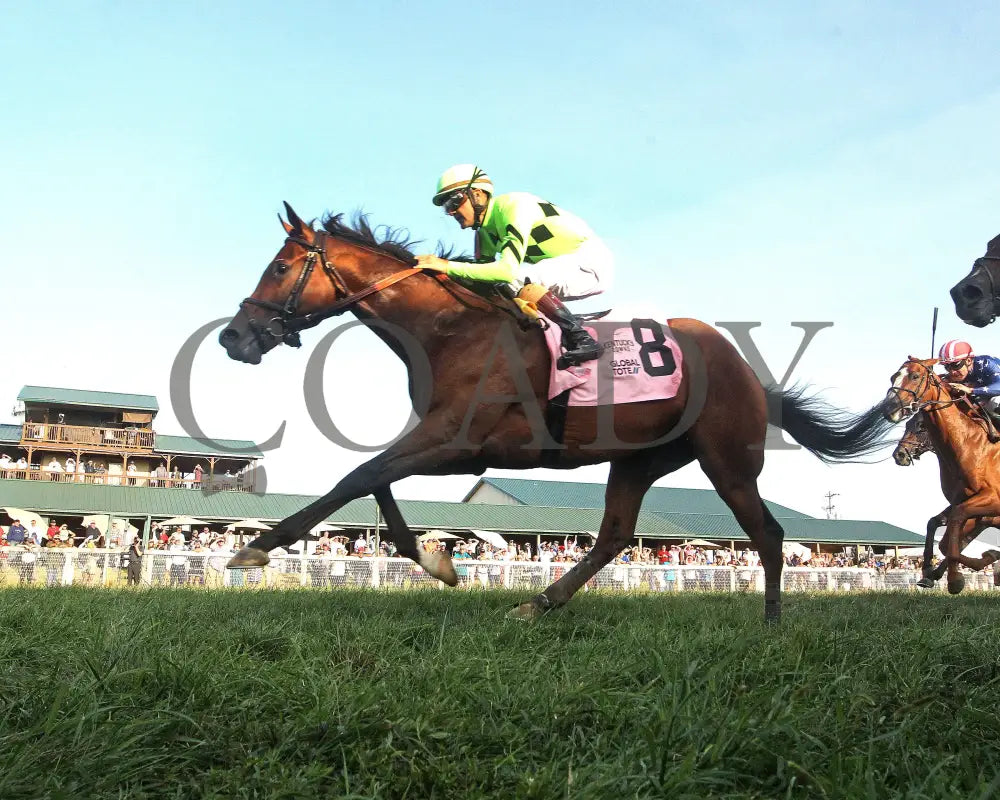 Brilliant Berti - Global Tote Gun Runner 090824 Race 10 Kd Under Rail 02 Kentucky Downs