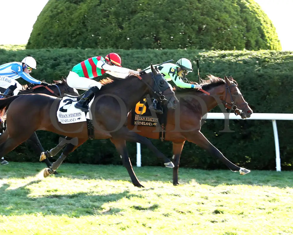 Brilliant Berti - The Bryan Station G3 10-26-24 R09 Kee Finish 01 Keeneland