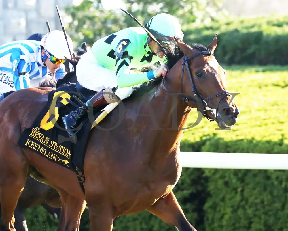 Brilliant Berti - The Bryan Station G3 10-26-24 R09 Kee Finish 02 Keeneland