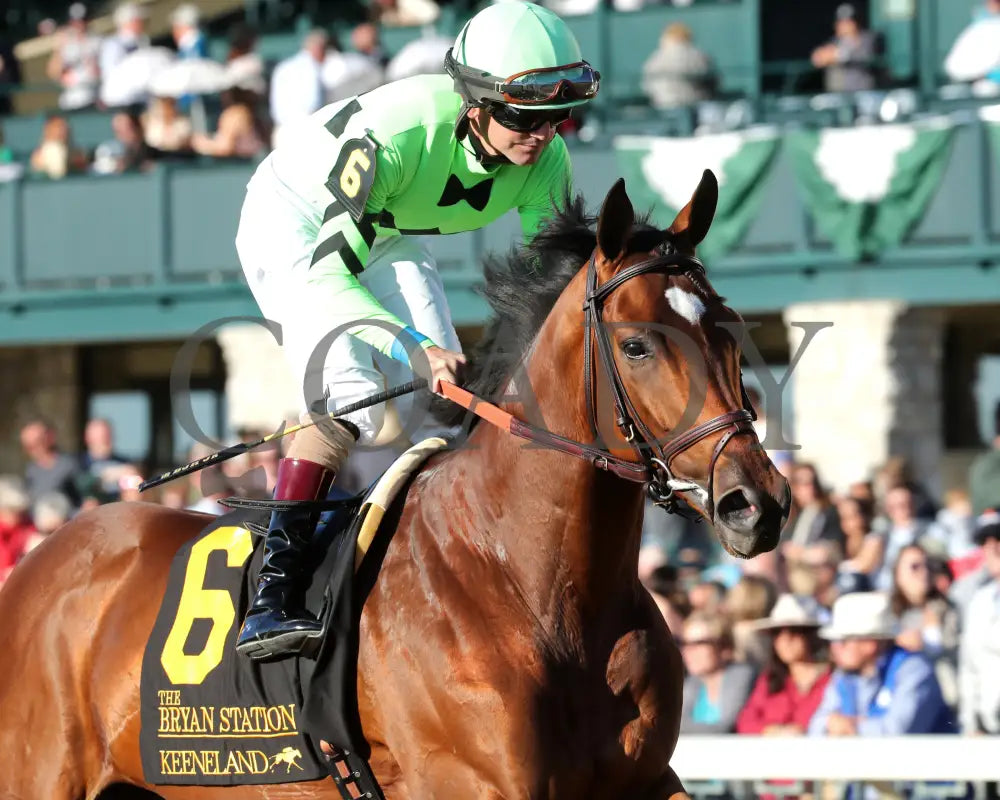 Brilliant Berti - The Bryan Station G3 10-26-24 R09 Kee Post Parade 03 Keeneland