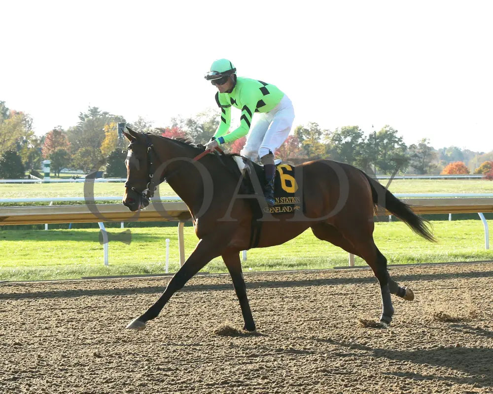 Brilliant Berti - The Bryan Station G3 10-26-24 R09 Kee Post Parade 04 Keeneland