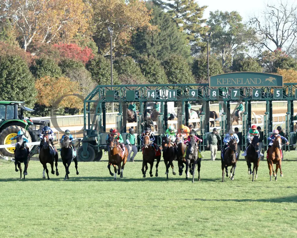 Brilliant Berti - The Bryan Station G3 10-26-24 R09 Kee Start 01 Keeneland