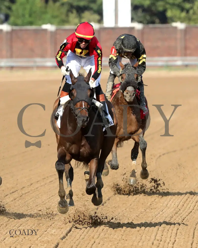 BROTHA KENY - 092025 - Race 10 - CD - Gallop Out 01 - Coady Media - Kurtis Coady Photography