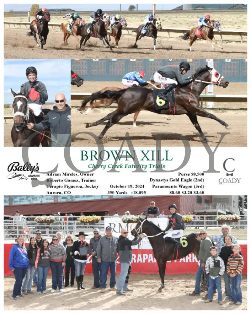 Brown Xill - Cherry Creek Futurity Trials 10-19-24 R03 Arp Arapahoe Park