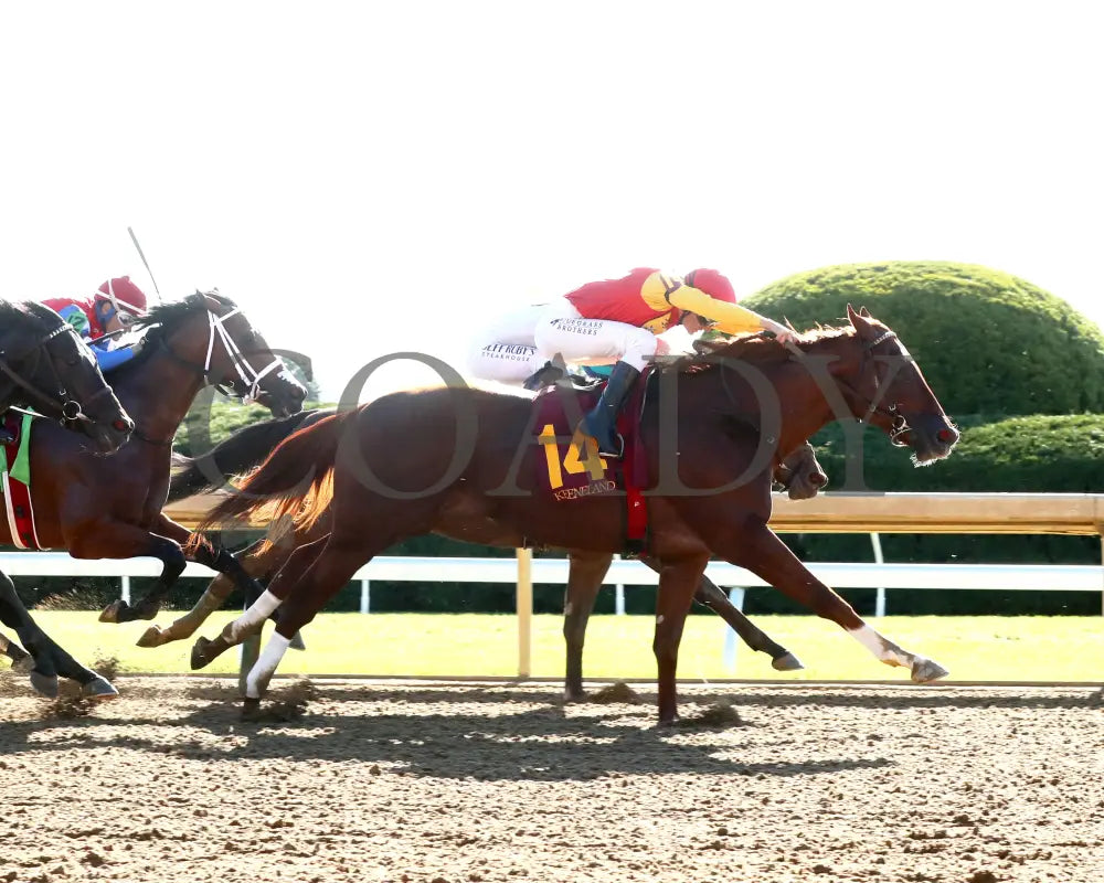 Brunacini - The Perryville G3 10-19-24 R07 Kee Finish 01 Keeneland