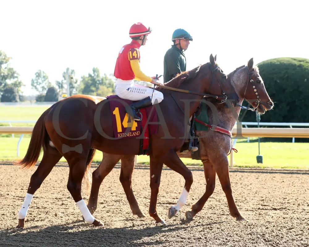 Brunacini - The Perryville G3 10-19-24 R07 Kee Post Parade 01 Keeneland