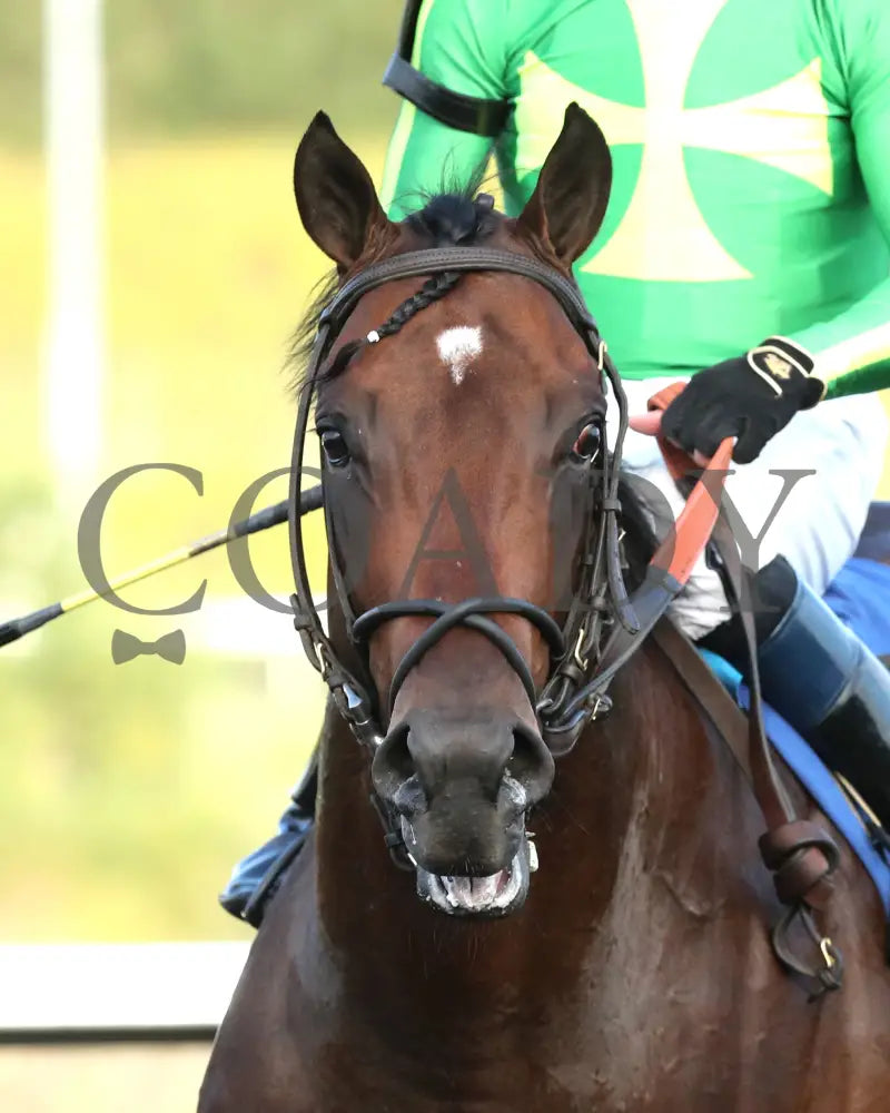 Bucaro - The Fitz Dixon Jr. Memorial Juvenile Stakes 09-20-24 R05 Pid Come Back 01 Presque Isle