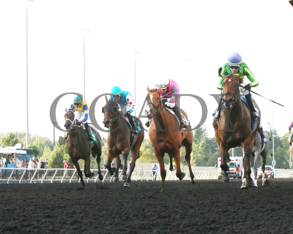 Bucaro - The Fitz Dixon Jr. Memorial Juvenile Stakes 09-20-24 R05 Pid Under Rail Presque Isle Downs