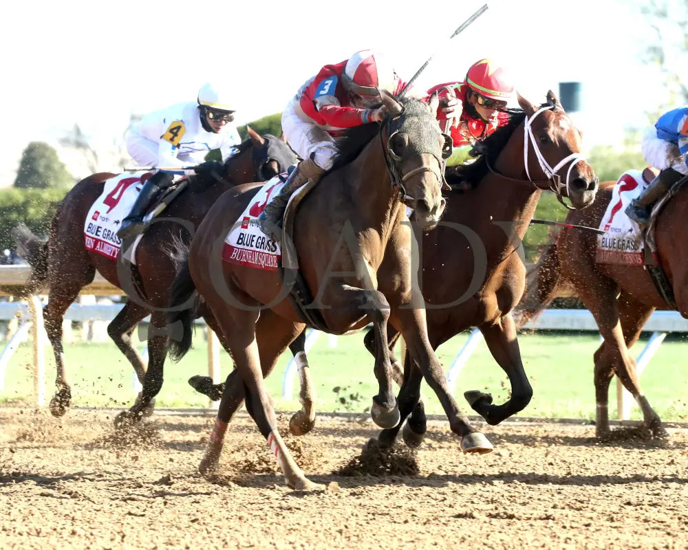 BURNHAM SQUARE - The Blue Grass - 040825 - Race 10 - KEE - Finish 02 Keeneland