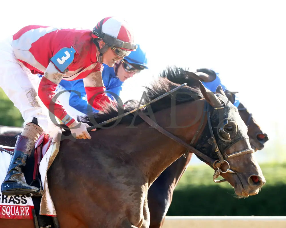 BURNHAM SQUARE - The Blue Grass - 040825 - Race 10 - KEE - Finish 05 Keeneland
