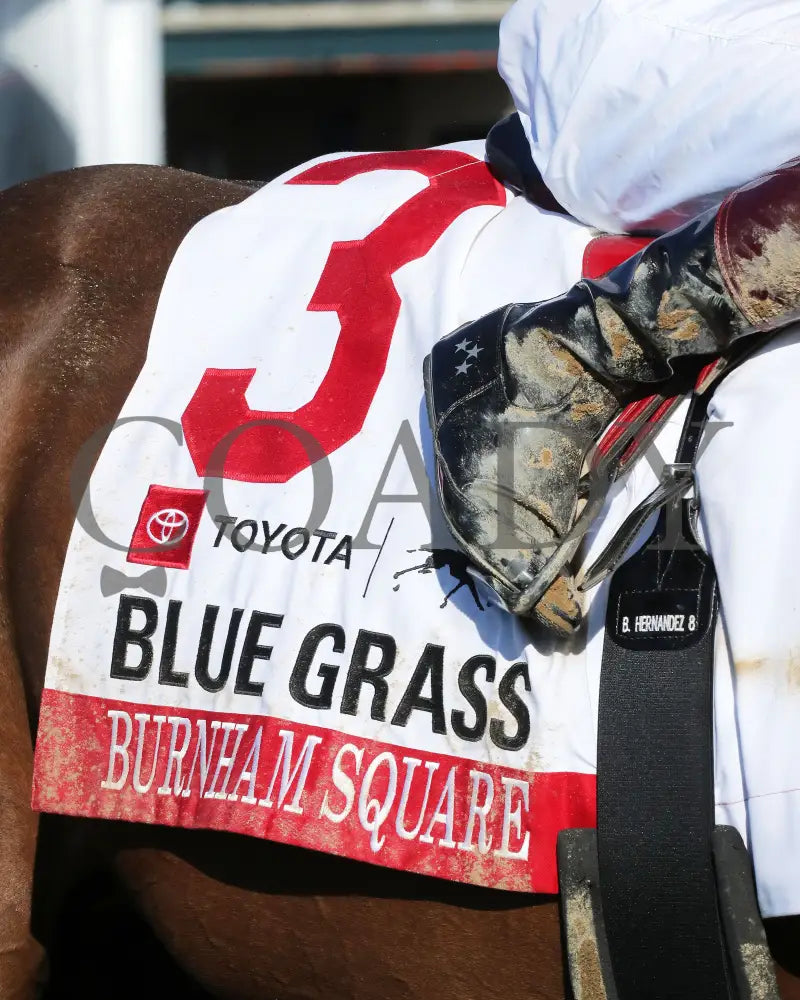 BURNHAM SQUARE - The Blue Grass - 040825 - Race 10 - KEE - Saddle Towel 01 Keeneland