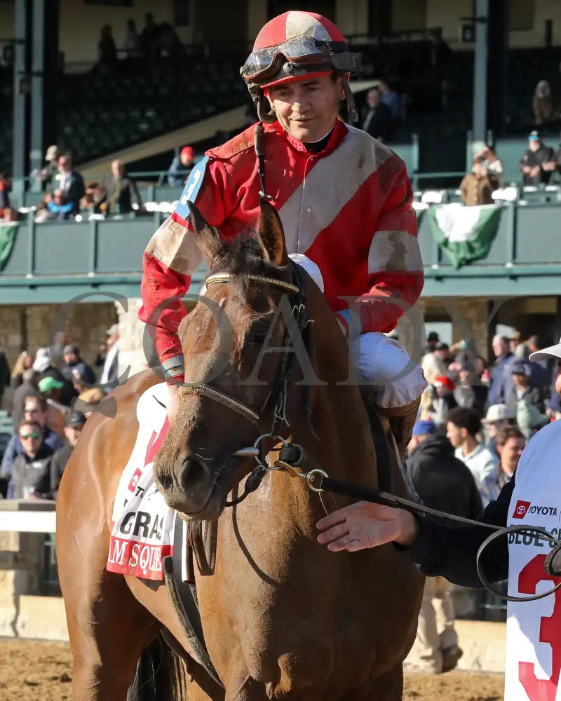 BURNHAM SQUARE - The Toyota Blue Grass G1 - 04-08-25 - KEE - Come Back 01 Keeneland
