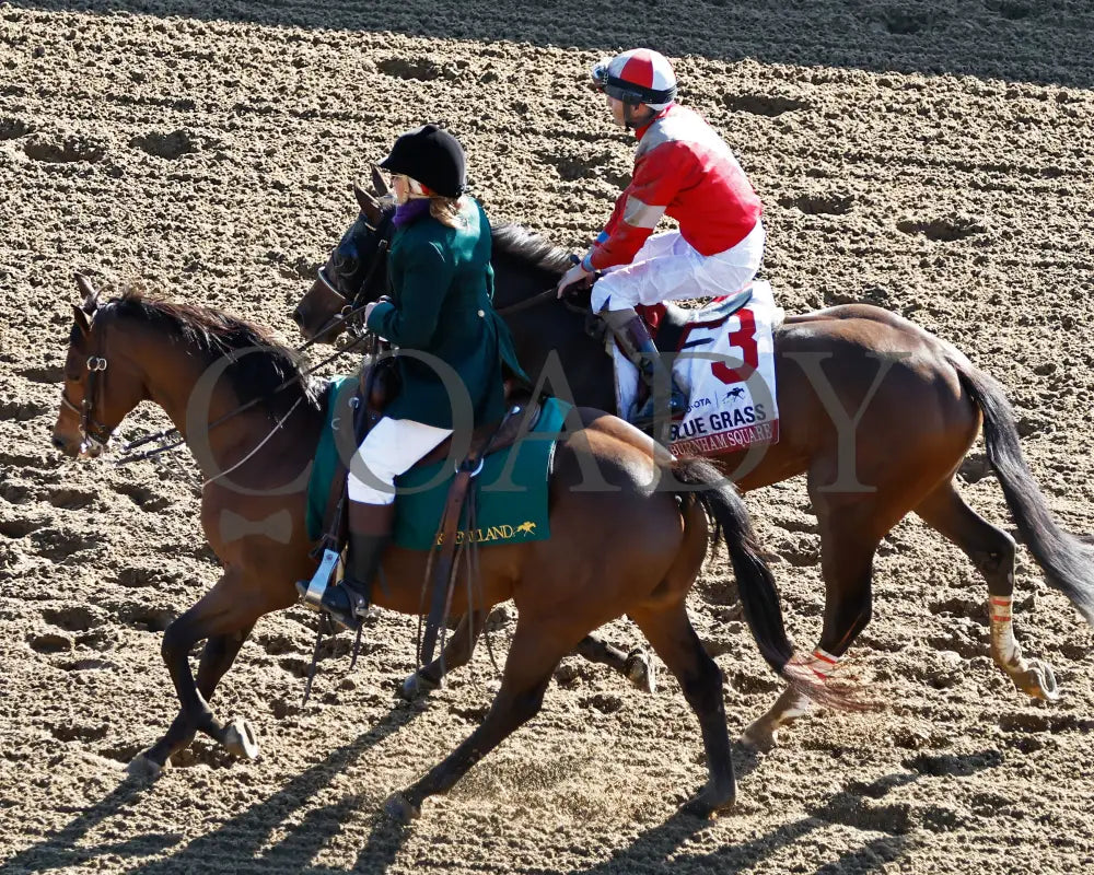 BURNHAM SQUARE - The Toyota Blue Grass G1 - 04-08-25 - KEE - Come Back 07 Keeneland