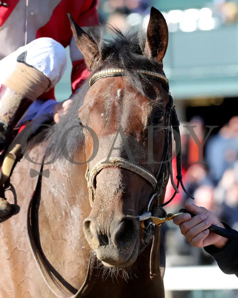 BURNHAM SQUARE - The Toyota Blue Grass G1 - 04-08-25 - KEE - Come Back 04 Keeneland