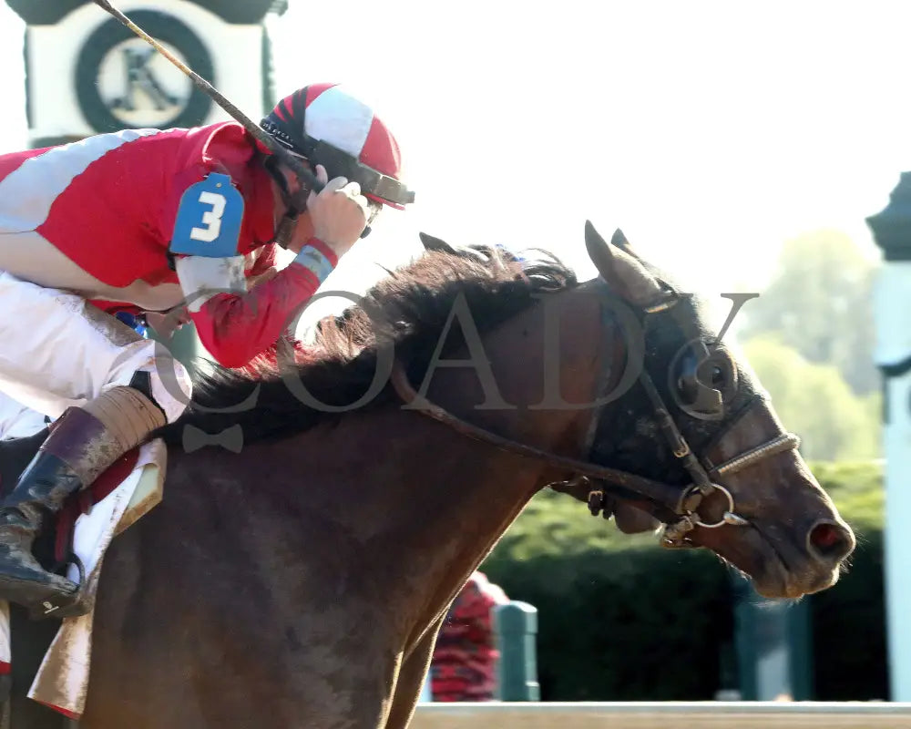 BURNHAM SQUARE - The Toyota Blue Grass G1 - 04-08-25 - KEE - Finish 03 Keeneland