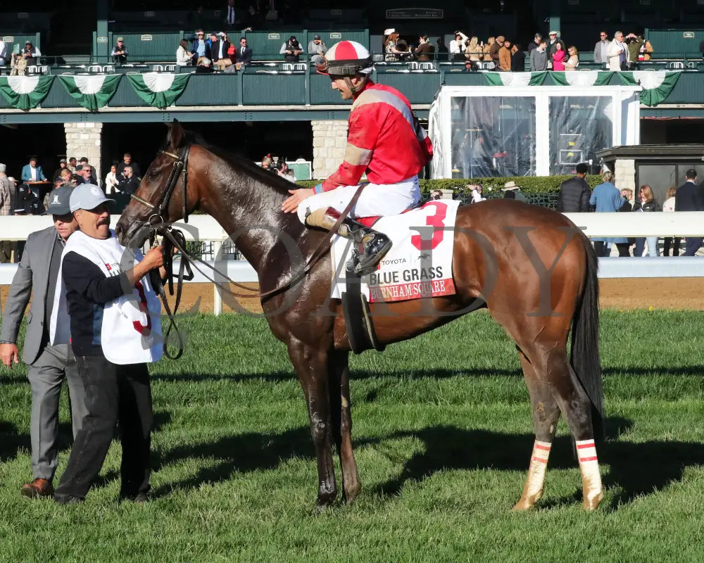 BURNHAM SQUARE - The Toyota Blue Grass G1 - 04-08-25 - KEE - Winners Circle 03 Keeneland