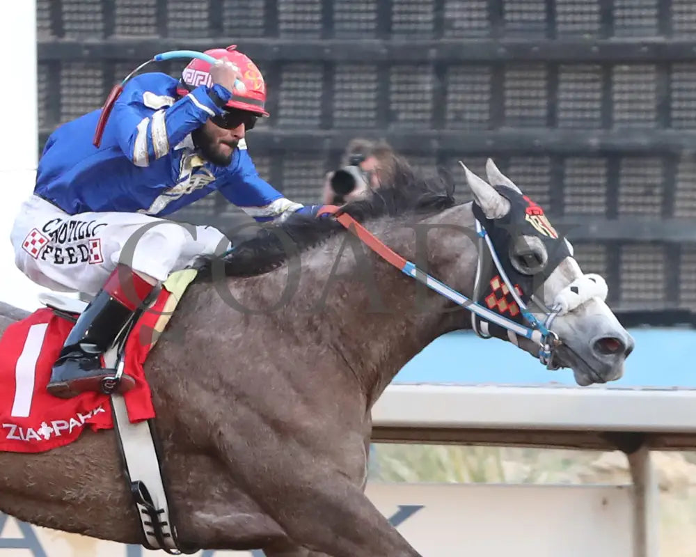 Bv Bridgette Cartel - New Mexico Classic Futurity 12-15-24 R12 Zia Park Finish 3 Copy)