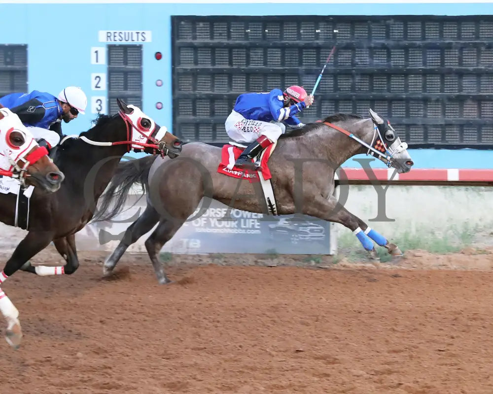 Bv Bridgette Cartel - New Mexico Classic Futurity 12-15-24 R12 Zia Park Finish