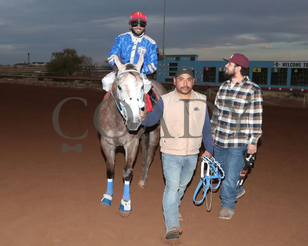Bv Bridgette Cartel - New Mexico Classic Futurity 12-15-24 R12 Zia Park Return Shot