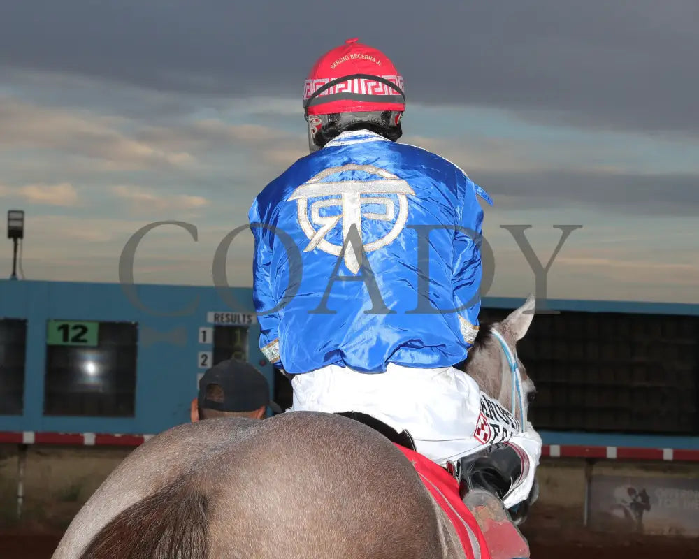 Bv Bridgette Cartel - New Mexico Classic Futurity 12-15-24 R12 Zia Park Silks