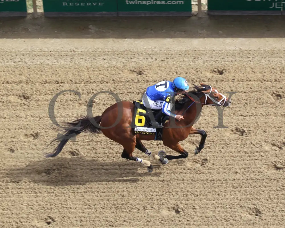 By My Standards - The Alysheba G2 17Th Running 09-04-20 R10 Cd Aerial Finish 02 Churchill Downs