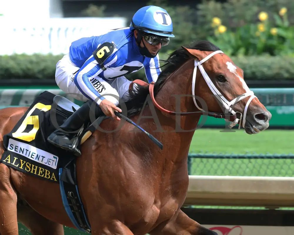 By My Standards - The Alysheba G2 17Th Running 09-04-20 R10 Cd Finish 03 Churchill Downs