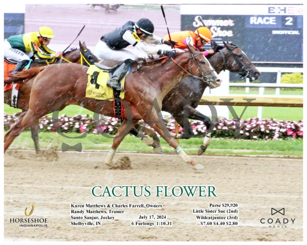 Cactus Flower - 07-17-24 R02 Ind Action Indiana Grand