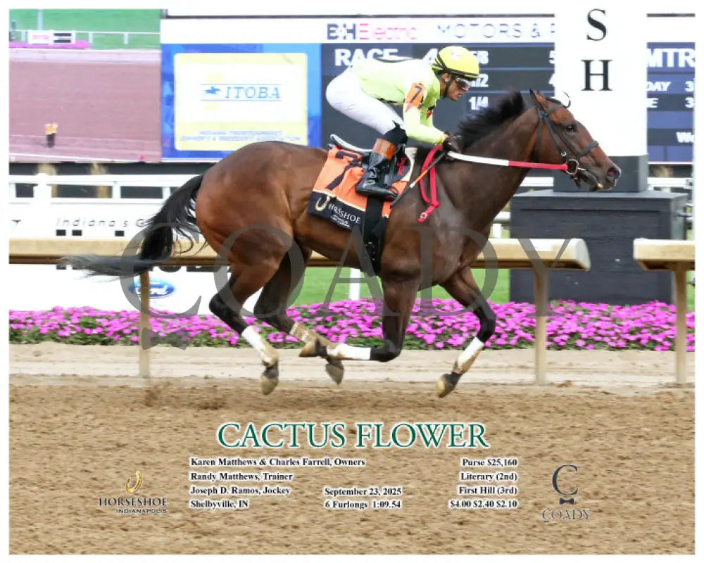 CACTUS FLOWER - 09-23-25 - R04 - IND - Action Indiana Grand