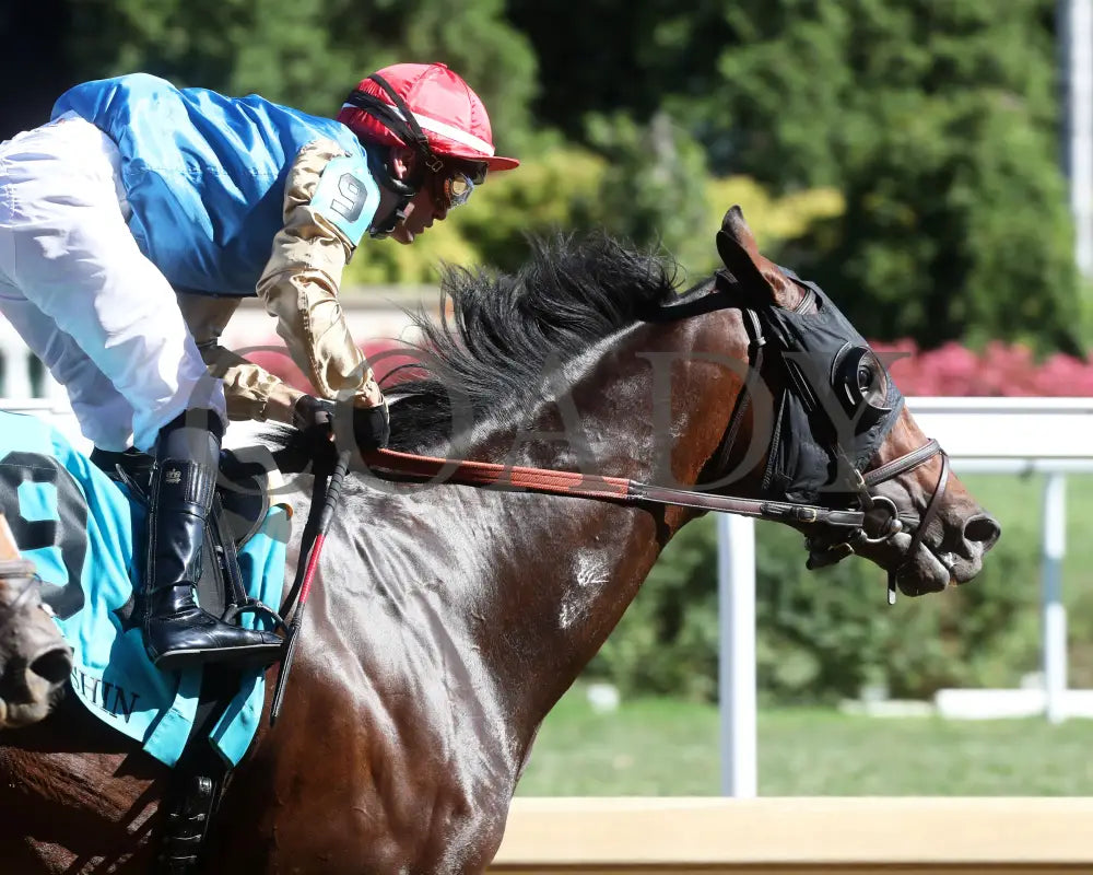 Cagliostro - The Hanshin 06-30-24 R10 Cd Gallop Out 01 Churchill Downs