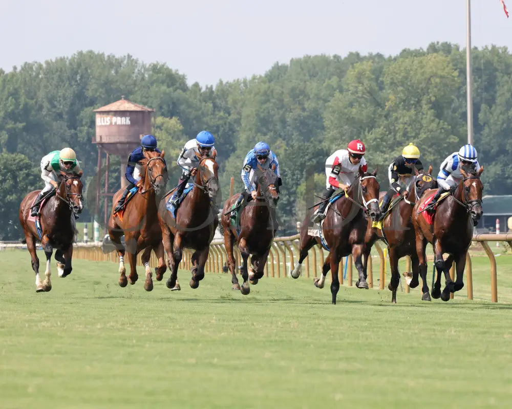Cameo Performance - Ky Downs Preview Nashville Derby 3Rd Running 08-03-24 R08 Elp First Turn 01