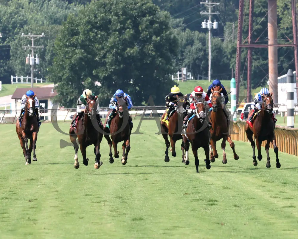 Cameo Performance - Ky Downs Preview Nashville Derby 3Rd Running 08-03-24 R08 Elp Head On 01 Ellis
