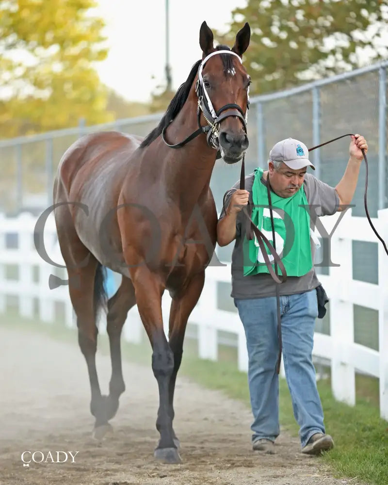 CANDY REWARD - The H.B.P.A. Stakes - 10-06-25 - R07 - Paddock 01 - Coady Media - Kurtis Coady Photography