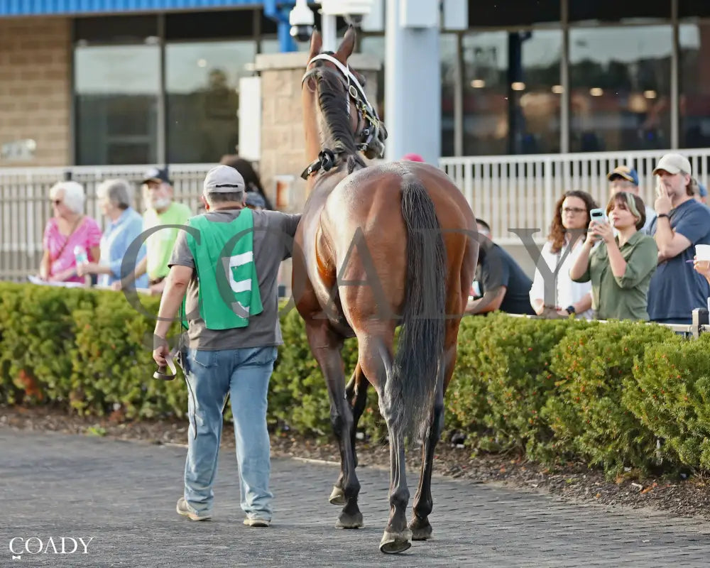 CANDY REWARD - The H.B.P.A. Stakes - 10-06-25 - R07 - Paddock 03 Presque Isle Downs