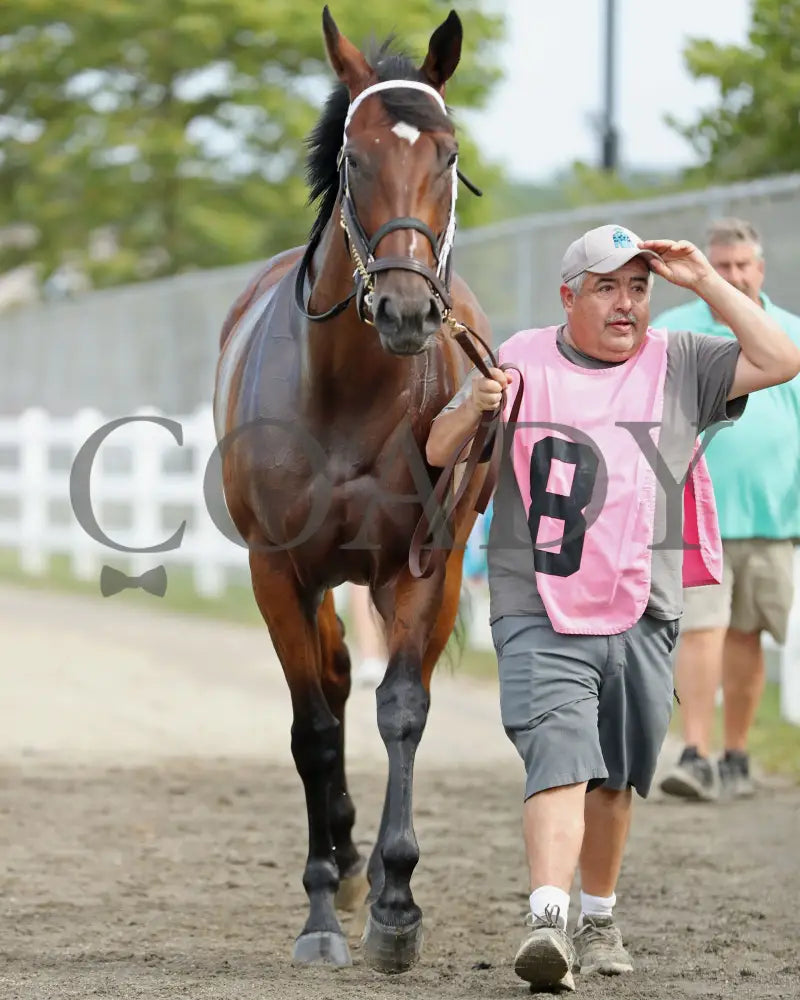 CANDY REWARD - The Princess of Sylmar Stakes - 16th Running - 07-28-25 - R06 - PID - Paddock 02 - Coady Media - Kurtis Coady Photography
