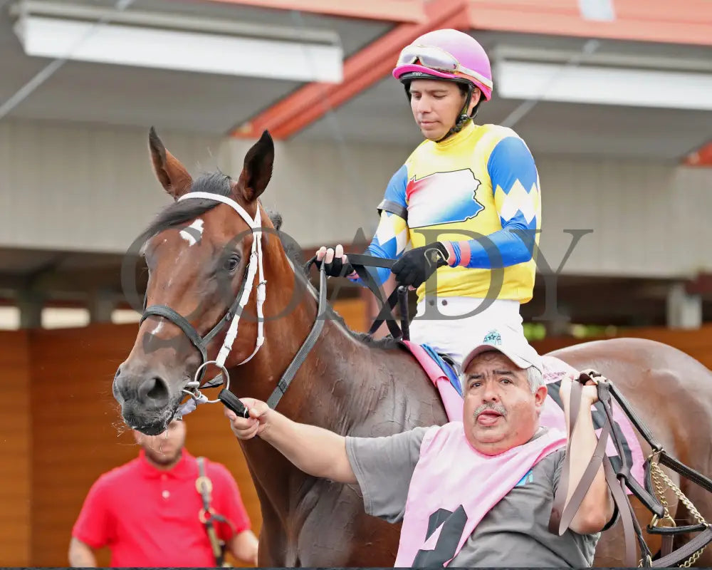 CANDY REWARD - The Princess of Sylmar Stakes - 16th Running - 07-28-25 - R06 - PID - Paddock 05 Presque Isle Downs