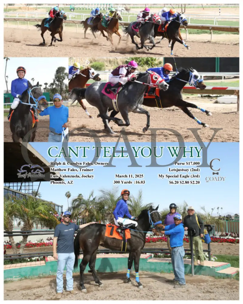 CANT TELL YOU WHY - 03-11-25 - R02 - TUP Turf Paradise