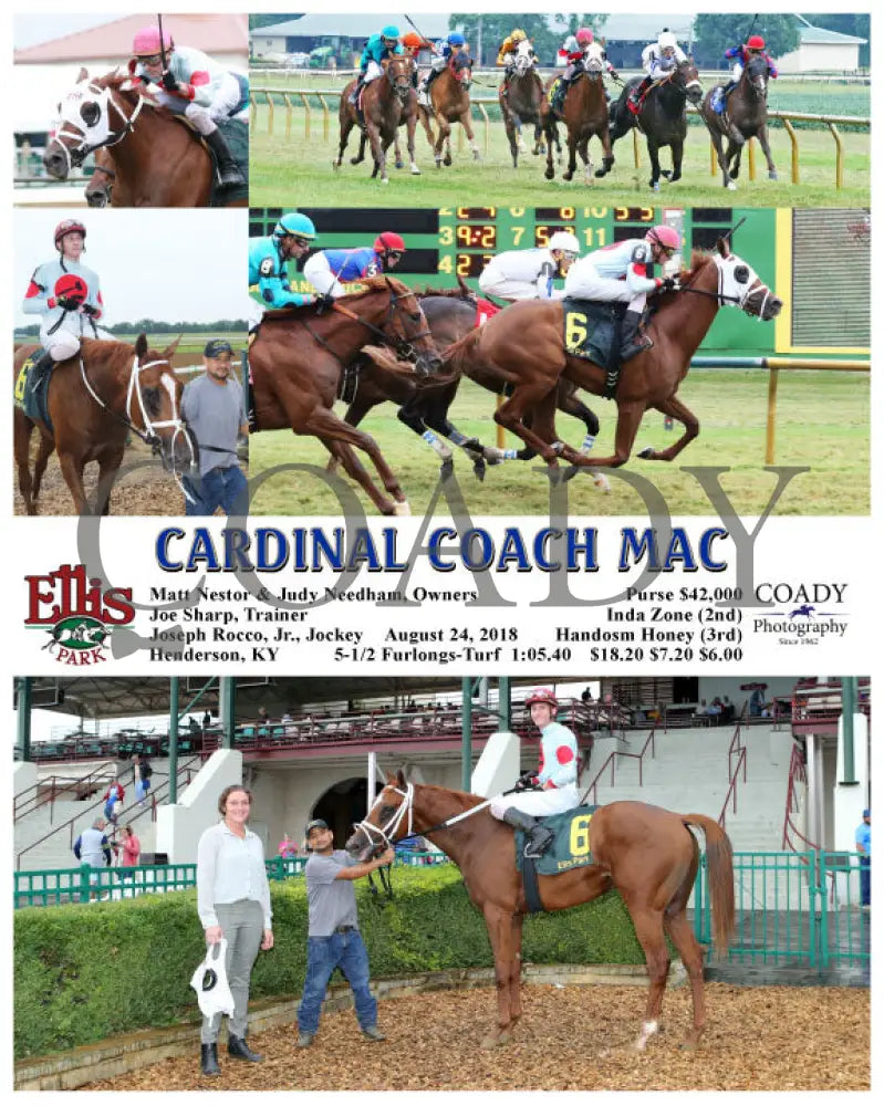 CARDINAL COACH MAC - 082418 - Race 08 - ELP - Coady Media - Kurtis Coady Photography