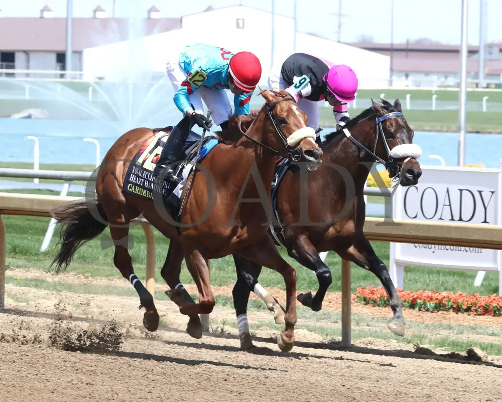 Carimba - Total Eclipse Of The Heart Overnight Handicap 04 - 08 - 24 R05 Horseshoe Indiana Finish
