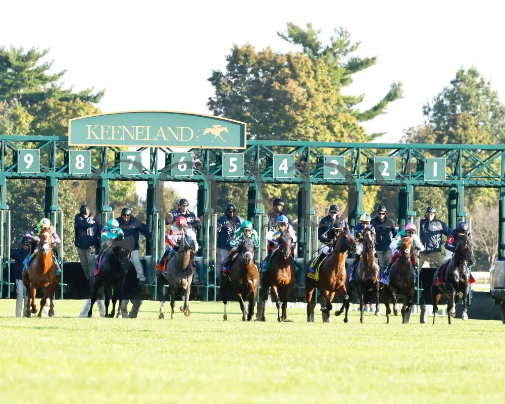 Carl Spackler - 100524 Race 10 Kee The Coolmore Turf Mile G1 Start 02 Keeneland