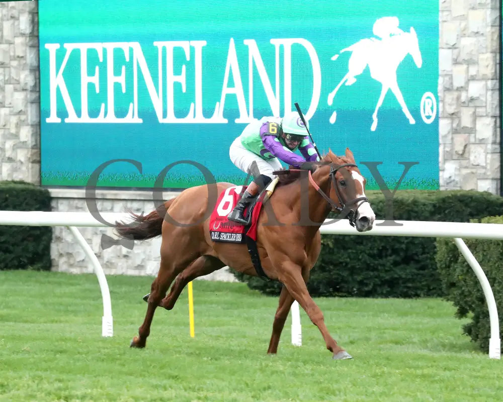 CARL SPACKLER - The Maker’s Mark Mile G1 - 37th Running - 04-11-25 - R09 - KEE - Finish 02 Keeneland