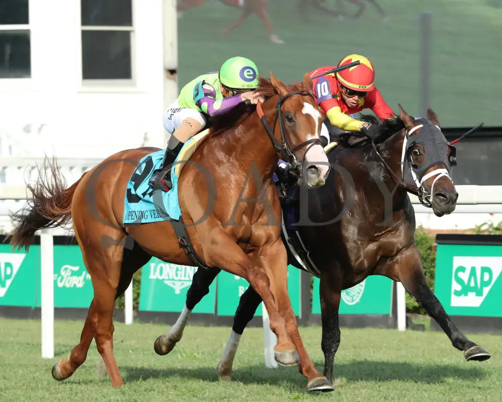 Carl Spackler - The Opening Verse 05-02-24 R11 Cd Finish 02 Churchill Downs