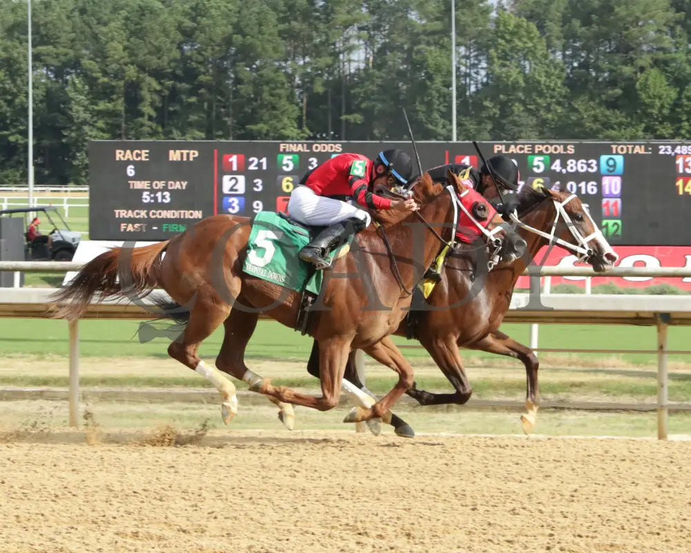 Carmelina - The Penny Chenery 08-11-24 R06 Cnl Finish 01 Colonial Downs