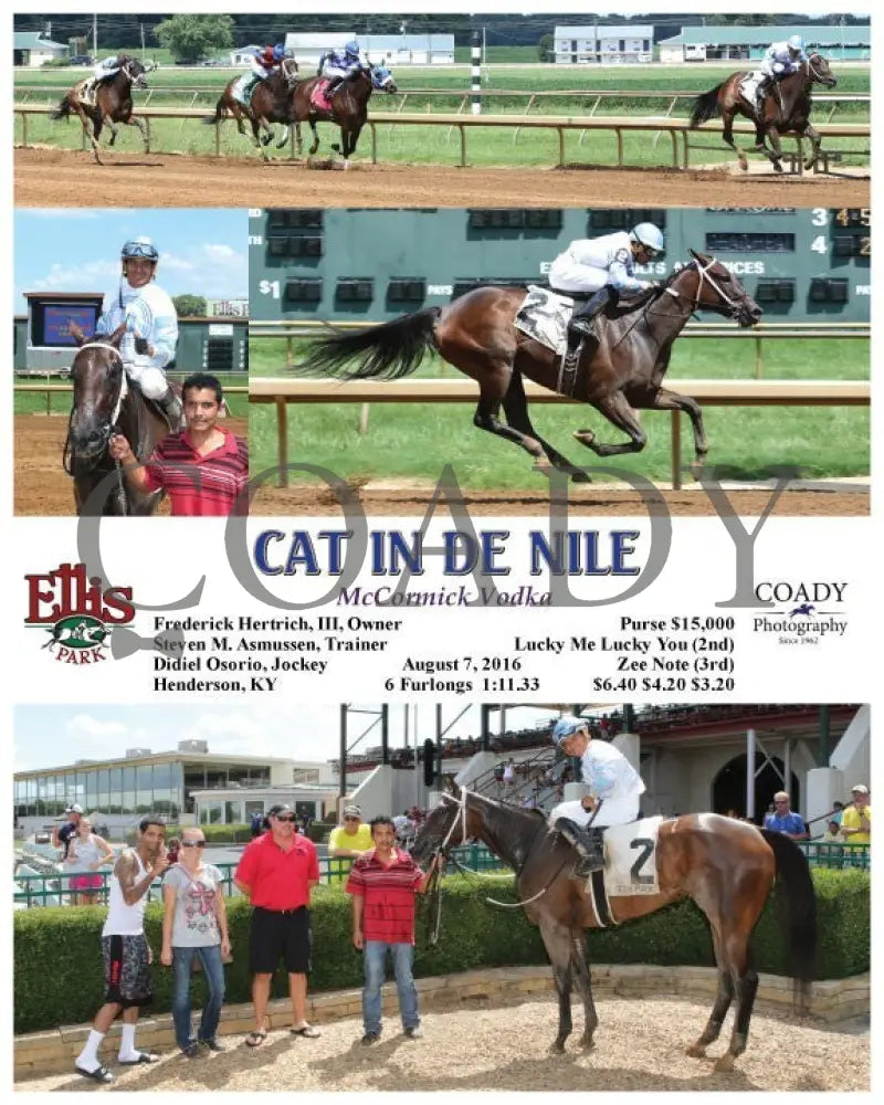 Cat In De Nile - 080716 Race 04 Elp Ellis Park